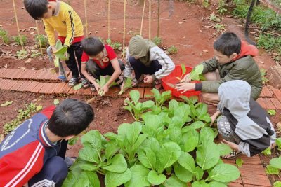 Trải nghiệm “Chăm sóc vườn rau”